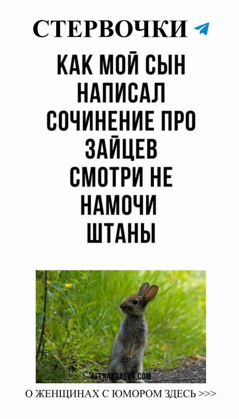 Кролик на травке: весёлые моменты любви и юмора