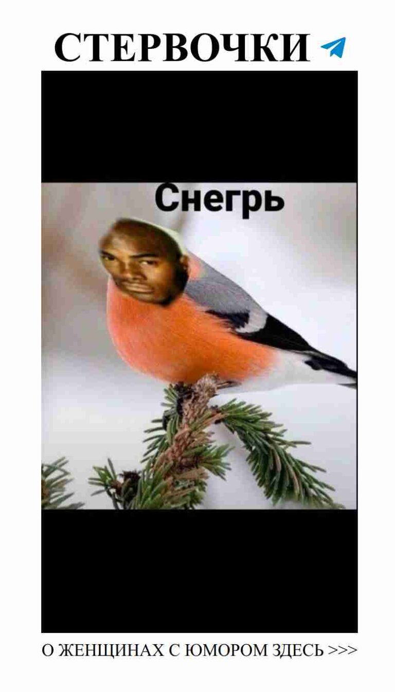 Когда любовь щебечет, птицы поют как в комедии