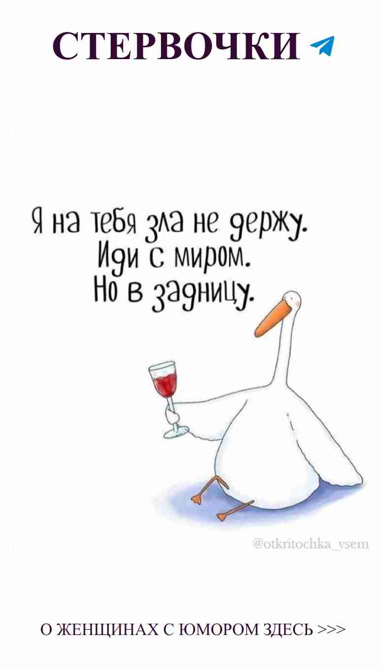 Летит аист и тянет к любви бокал вина