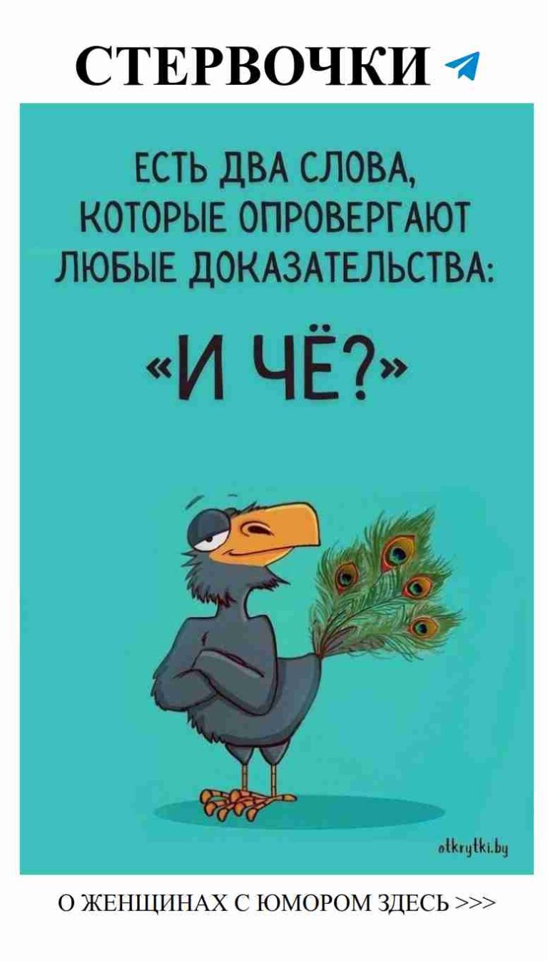 Когда любовь заставляет выбирать между пером и хвостом