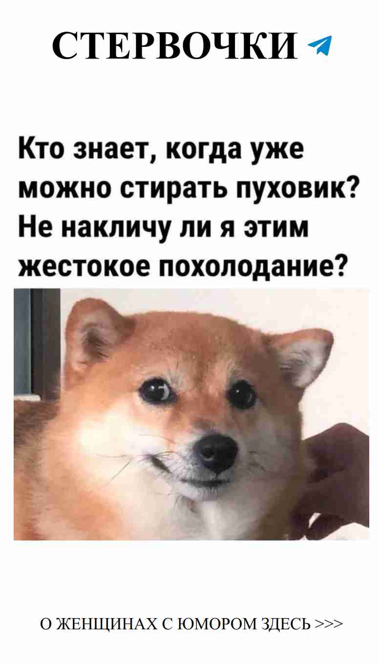 Собака и нежные объятия как доказательство любви