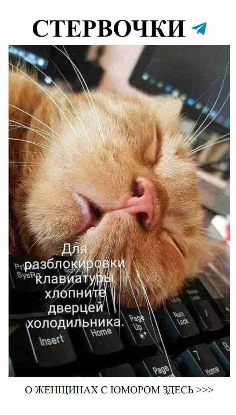 Любовные комедии: почему смех помогает в отношениях