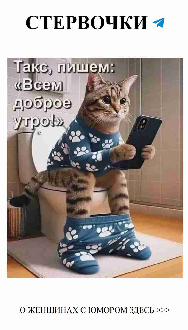 Кошка в пижаме: утреннее веселье с телефоном