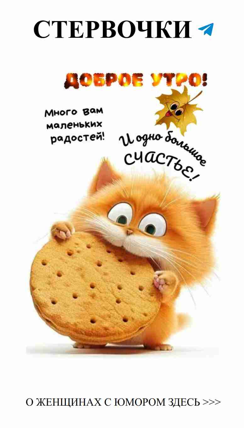 Улыбка сквозь слёзы: смешные моменты о любви и женщинах