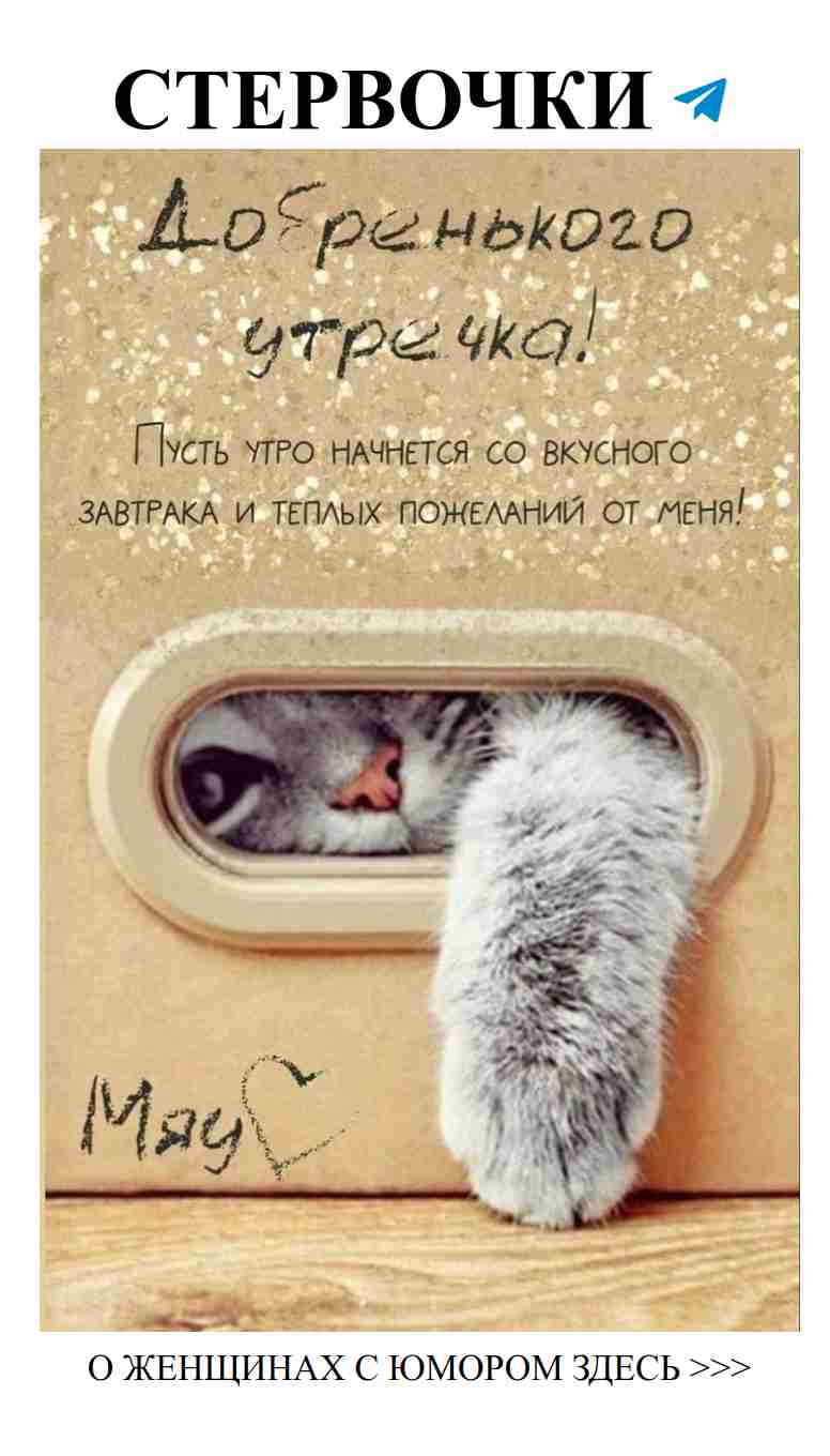 Королевский юмор о любви и猫 с прекрасным настроением