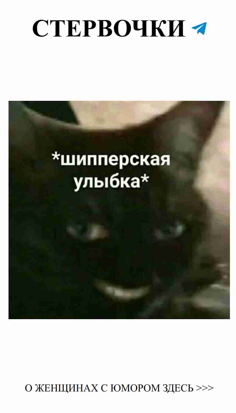 Чёрный кот с голубыми глазами ждет твоей любви