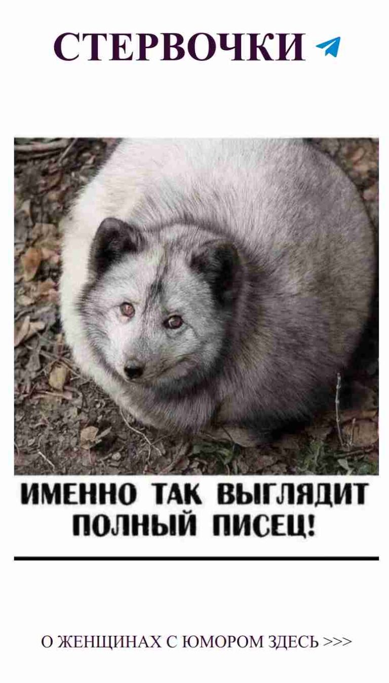 Когда любимый хмурится, я просто убаюкиваю его своим хомяком