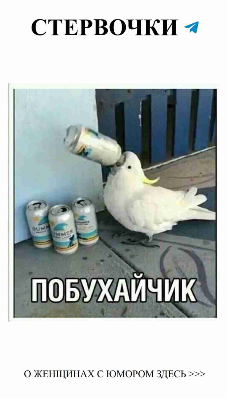 Любовь и смех: как не потерять юмор в отношениях