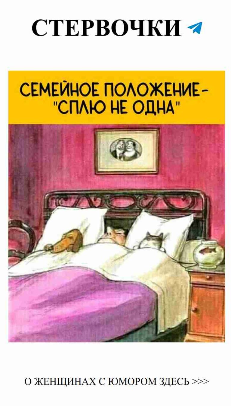 Когда ты думаешь о любви, но кот не хочет просыпаться