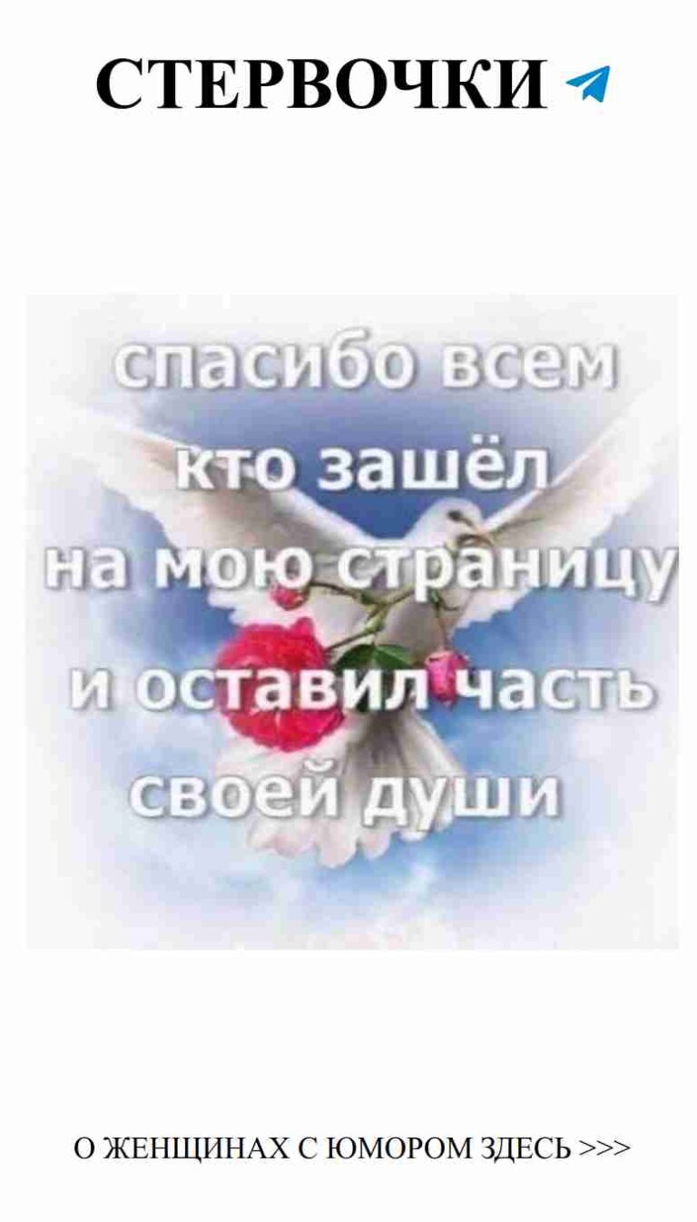 Летящая белая голубка с розой символизирует любовь и юмор