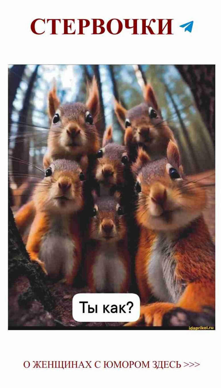 Смешные наряды для лучших подруг в лесу