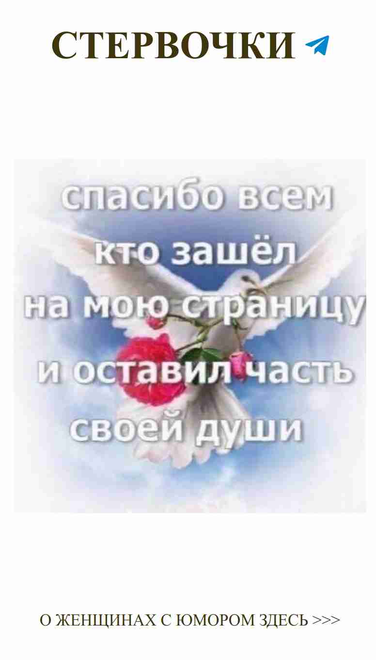 Любовь в воздухе с белой голубкой и красной розой