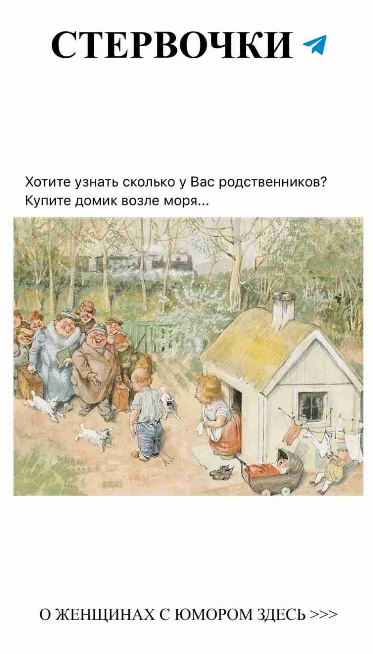 Любовь, смех и пушистые хвостики на солнечной поляне