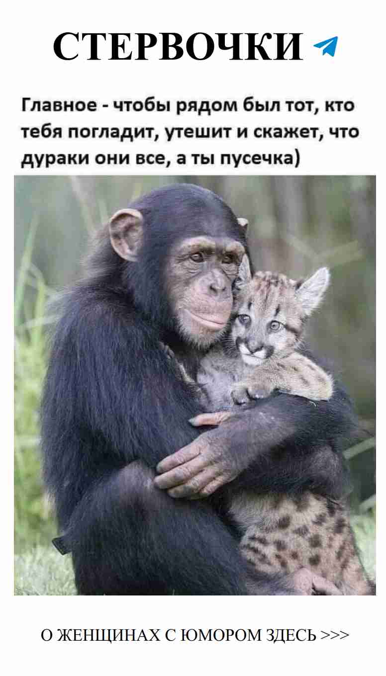 Любовь и забота: Комичные моменты с мамами-обезьянами