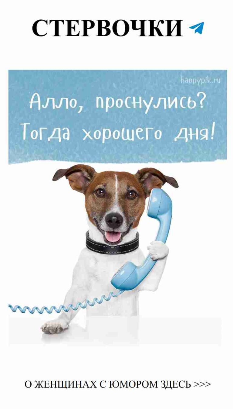 С днём рождения, собака! Звони подружкам за праздничным настроением
