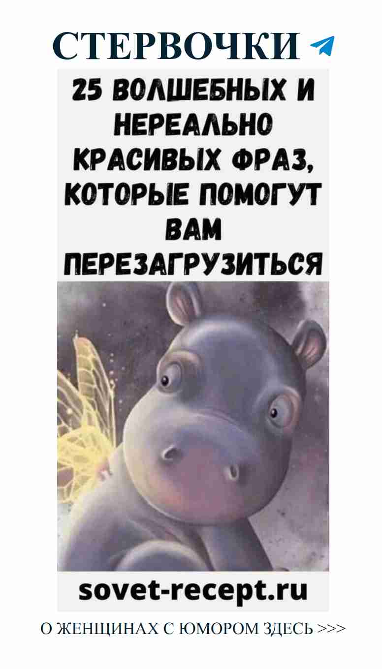 Любовь и юмор: когда бегемот становится звездой комедии