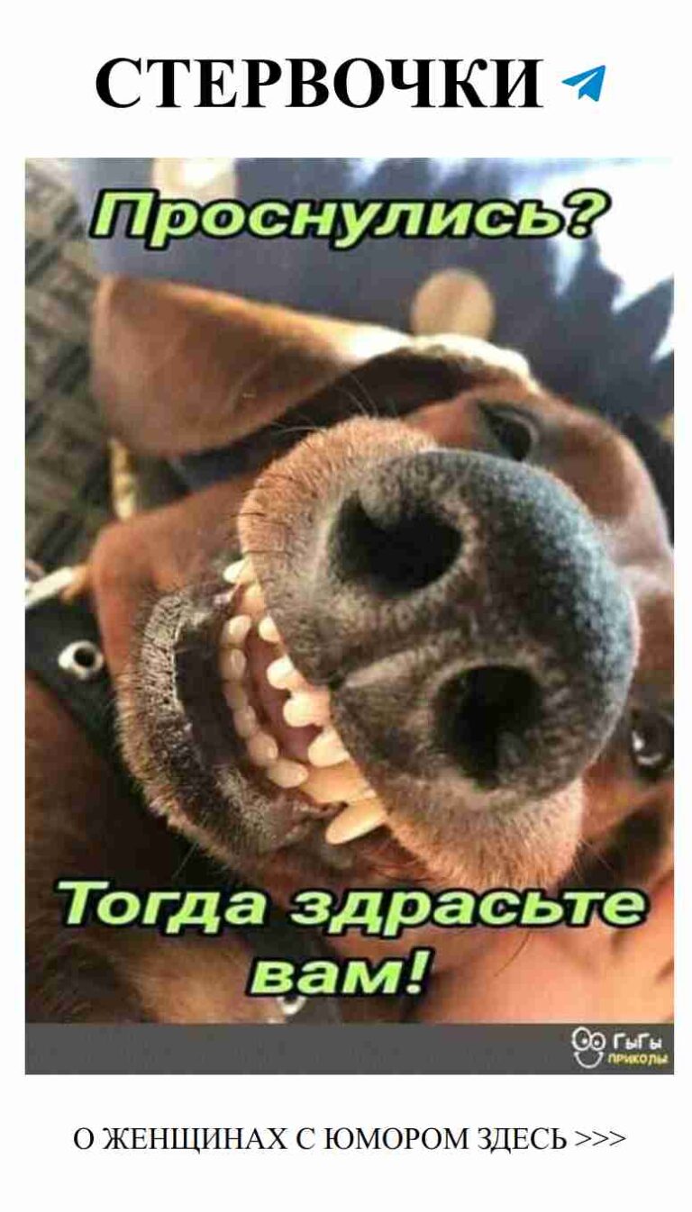 Смех и любовь: лучший способ начать утро!