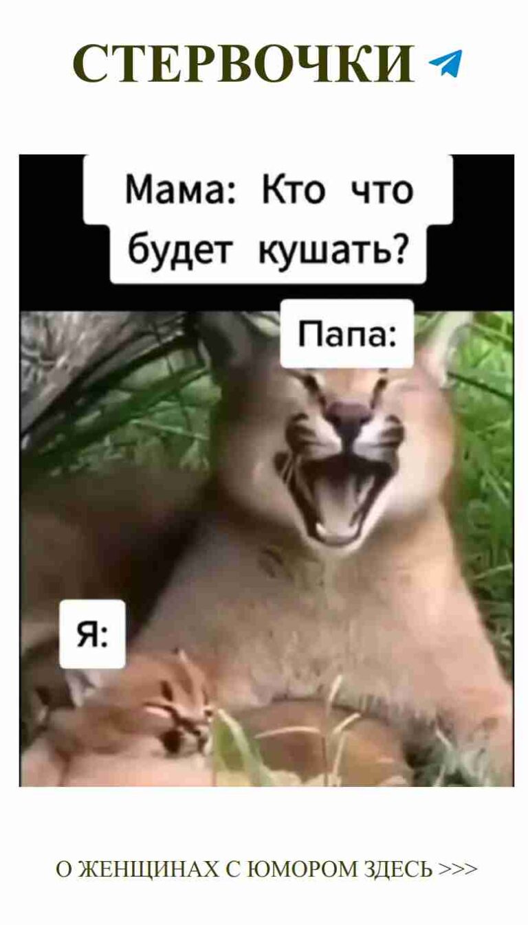 Когда двое друзей на траве – любовь и юмор рядом