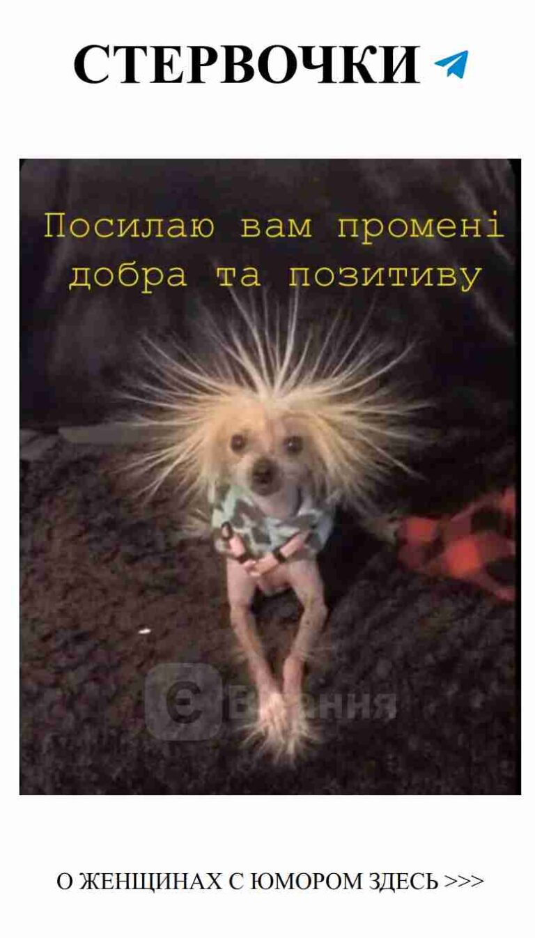 Утренний привет с милым щенком для поднятия настроения