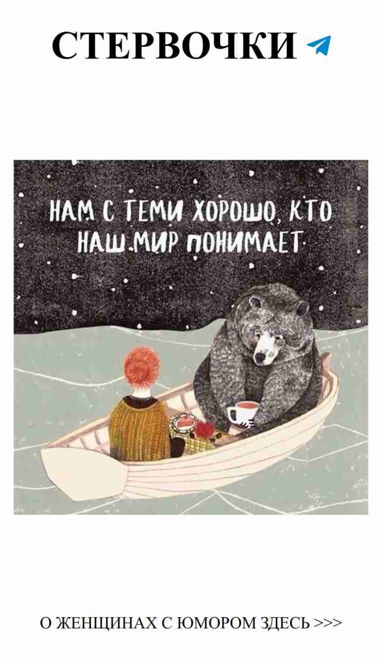 Медведи в любви: как найти счастье в неожиданных местах