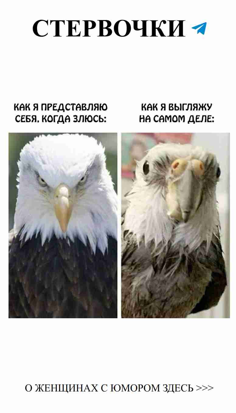 Когда еда не так важна, как наш юмор о любви