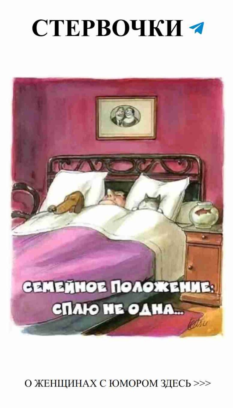 Пухлый кот на кровати: любовь и уют в каждой искорке