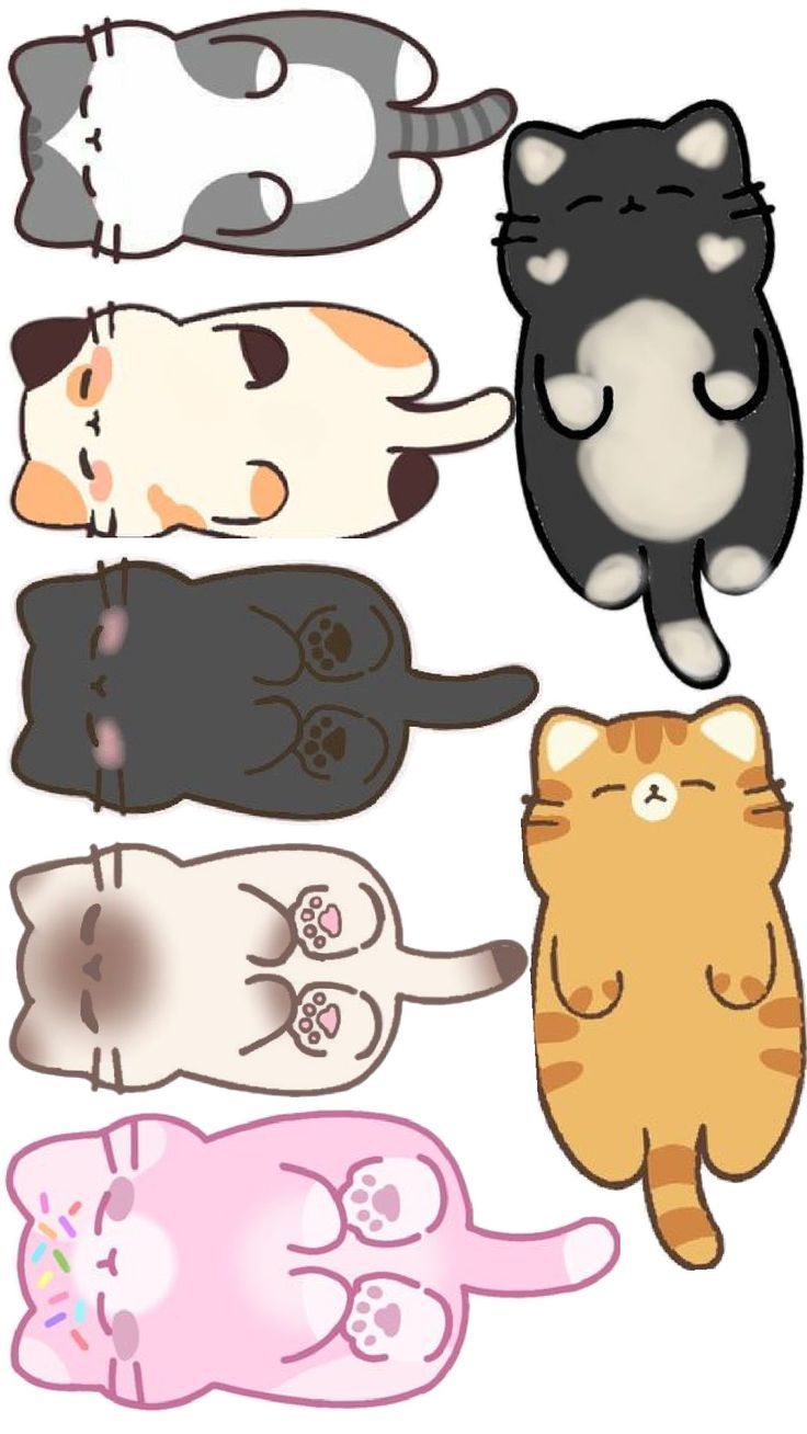 cute cat in 2025 | Schattige tekeningen, Kawaii tekeningen, Katten tekening