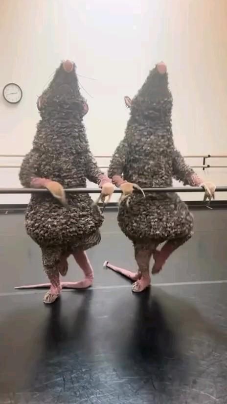 Милая, когда мы с тобой танцевать только начали?..