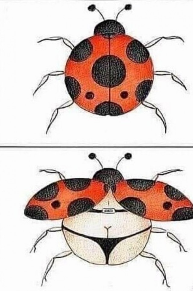 Бредзона 26.09.20 – ЯПлакалъ