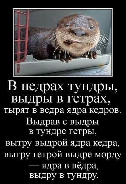 скороговорка