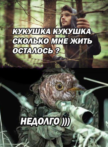 Нестандартный юмор – ЯПлакалъ