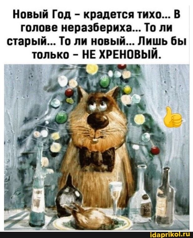 Новый Год – крадется тихо… В голове неразбериха… То ли старый… То ли новый… Лишь бы только – НЕ ХРЕНОВЫЙ. – АйДаПрикол