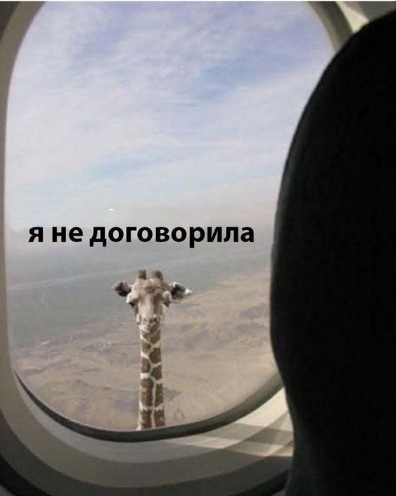 смешные открытки767