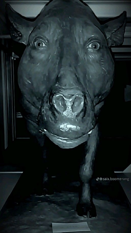 страшно, вырубай