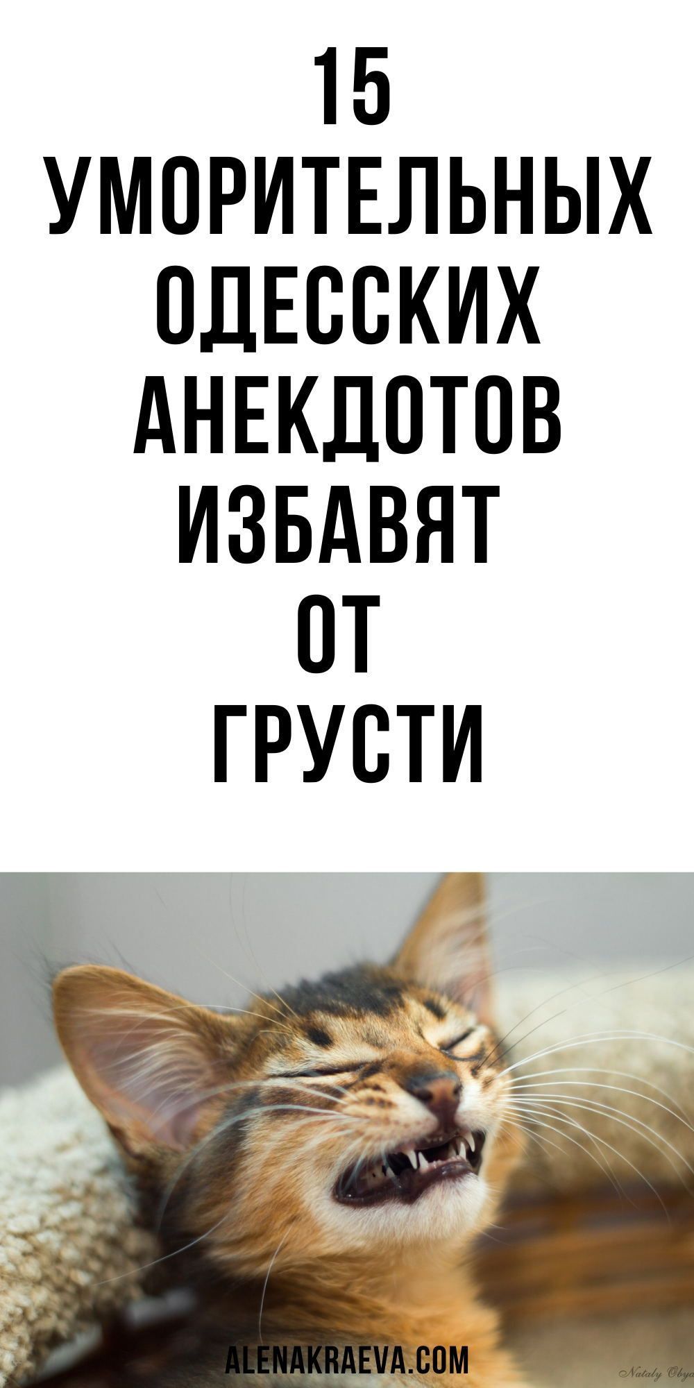 15 уморительных одесских анекдотов, юмор | alenakraeva.com