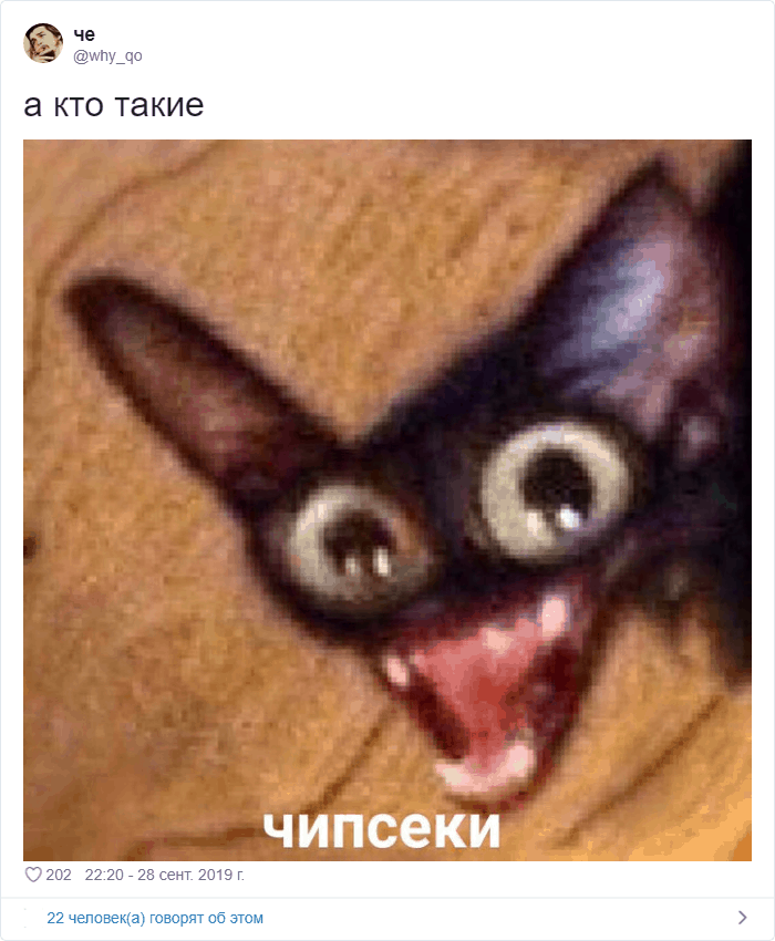 В сети стали популярны мемы про «чипсеки», «сухареки» и «лиманадек». Сначала упорото, потом весело