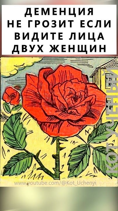 Найдёте лица двух женщин?  #тестнавнимательность