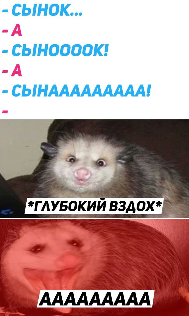 Жизненная жиза