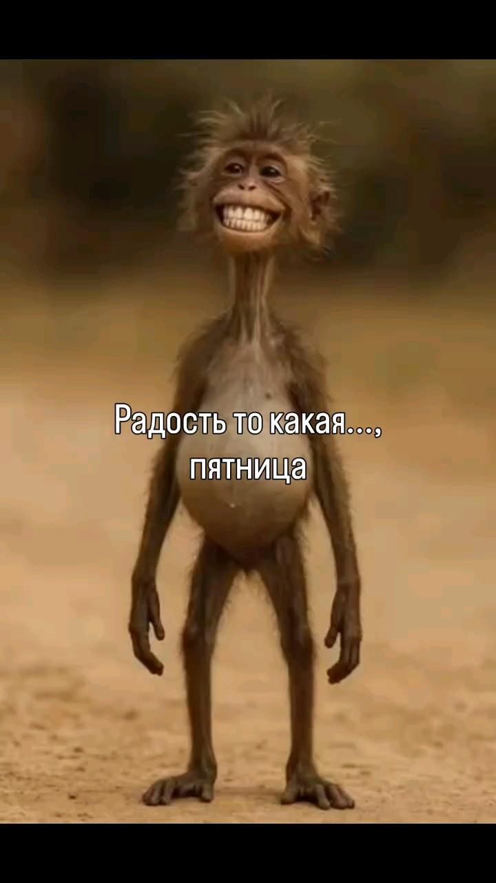 Радость то какая, пятница 😂