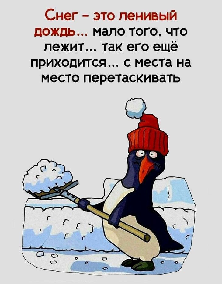 смеюсь до слез Присоединяйтесь к нашему Телеграм-каналу — мемы, шутки и ежедневный смех