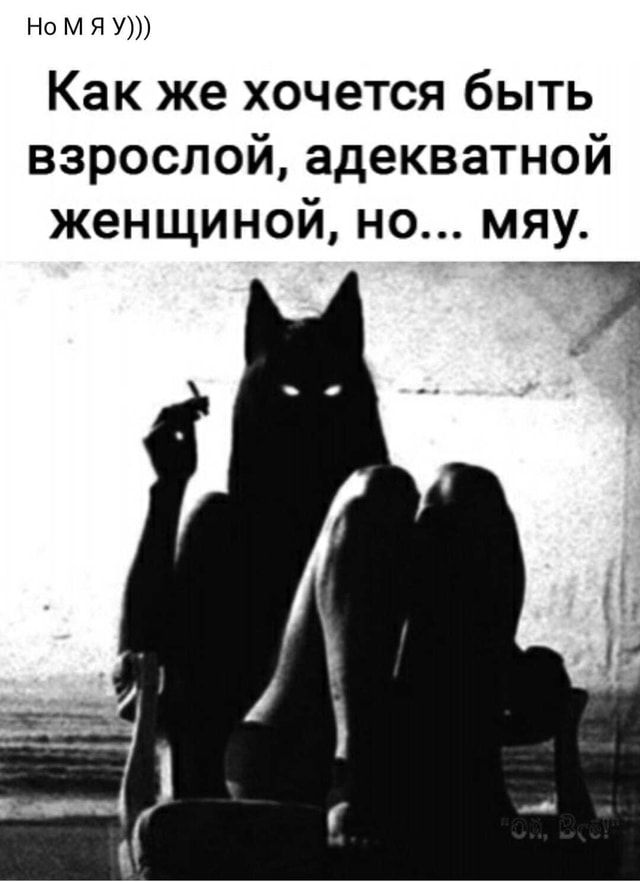 НоМЯУ))) Как же хочется быть взрослой, адекватной женщиной, но… мяу. – АйДаПрикол