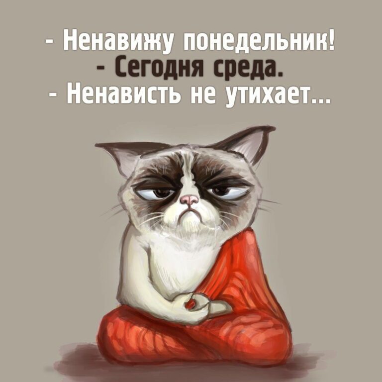 Картинка о среде и ненависти