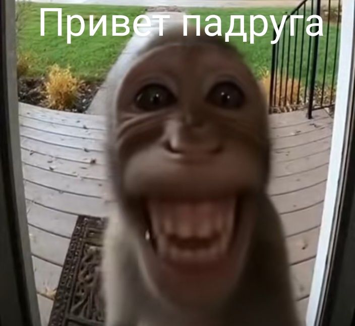 Обезьянка смешная