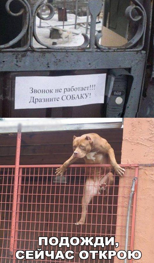 Всякие разные картинки – ЯПлакалъ