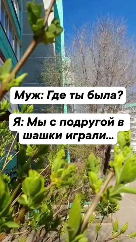 Прокольное видео, юморОткрытки на каждый день