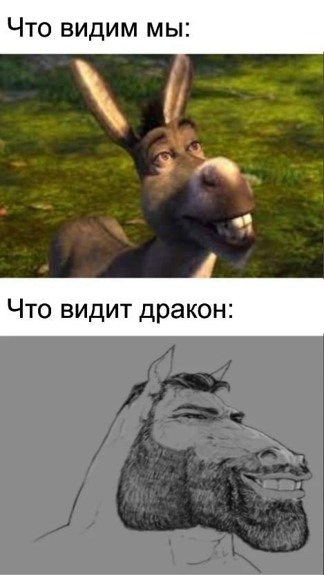 юмор очень смешно 507