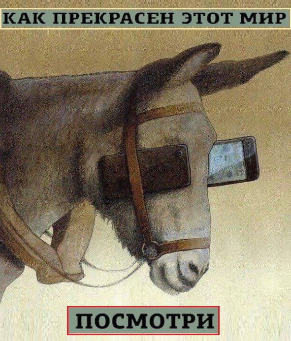 Картинки с надписями и всякие жизненные фразы 20.06.21 – ЯПлакалъ