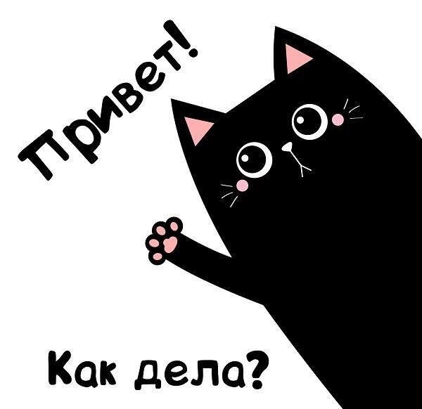 Короткие ответы на вопрос “Как дела?”