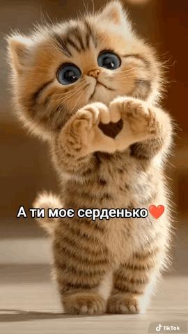 Plus de choses intéressantes sur notre canal Telegram