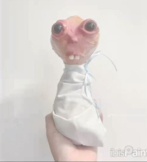 my baby brother pics😍😍😍😍